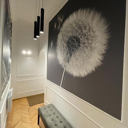 Flower Apartment Budapeszt Zewnętrze zdjęcie